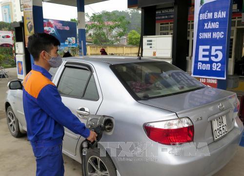 Xăng E5 chật vật tìm chỗ đứng ảnh 1